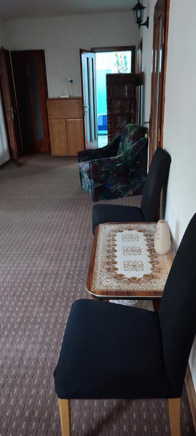 Orşova Casa Rebeca酒店 外观 照片